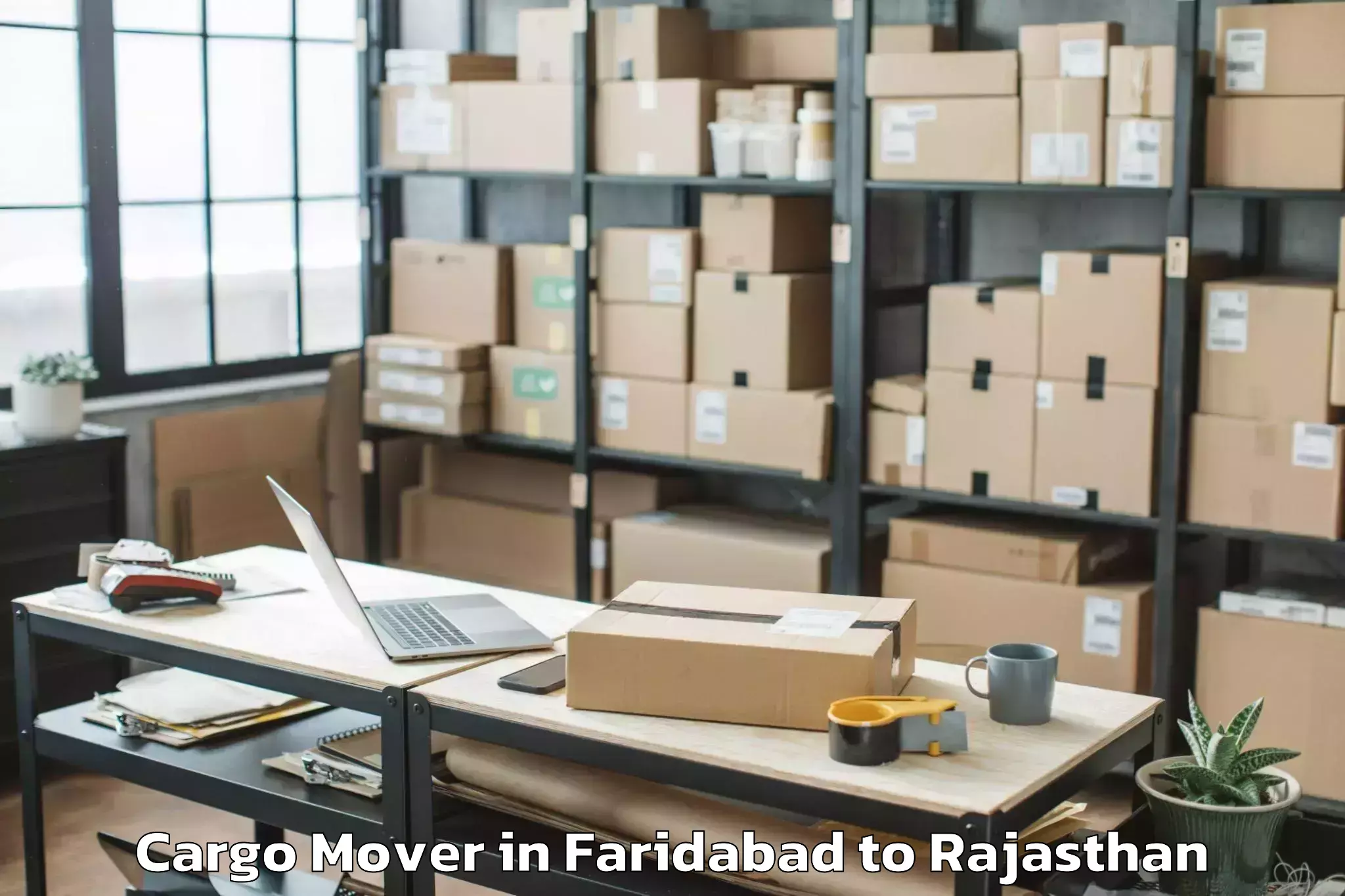 Trusted Faridabad to Banswara Cargo Mover